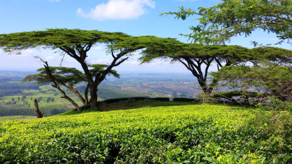 Upscaling and risk-layering for climate resilience in Malawi